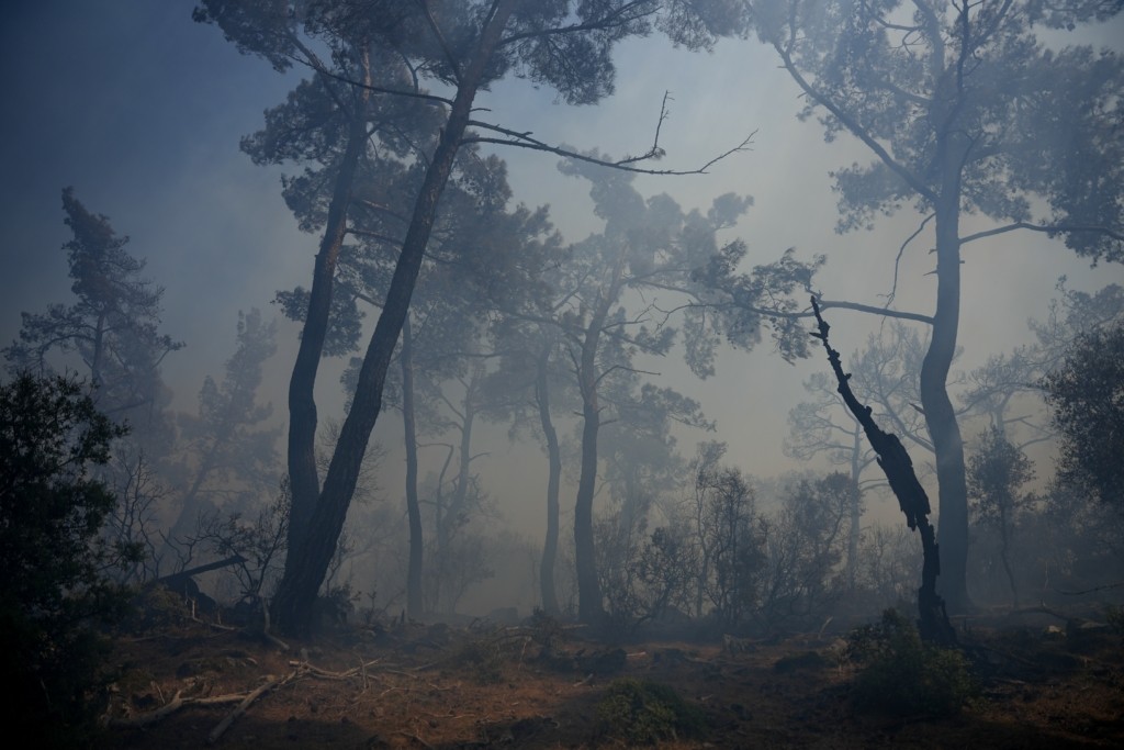 Συνελήφθη ηλικιωμένη για δύο πυρκαγιές στον Ωρωπό – Πρόστιμο 5.413,50€