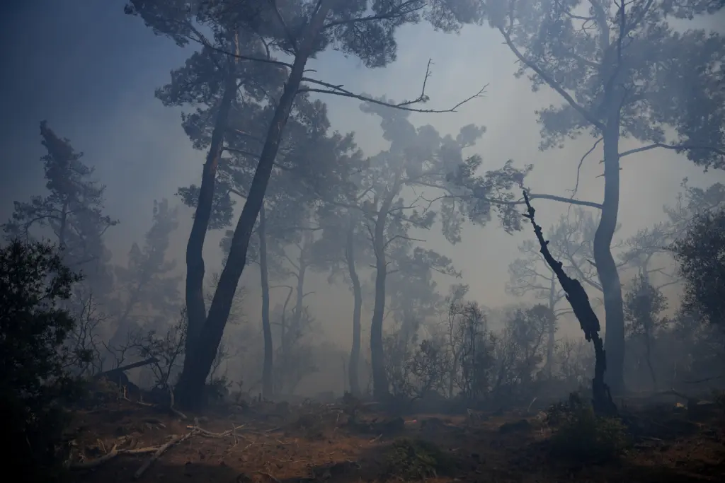 Κιλκίς: Υπό μερικό έλεγχο η πυρκαγιά στις Μουριές, διάσπαρτες εστίες στο Πευκόδασος