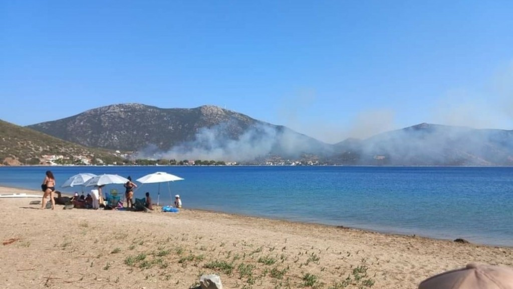 Φωτιά στην Παναγιά Εύβοιας – Κινητοποιήθηκε 1 ελικόπτερο – Ήχησε το 112