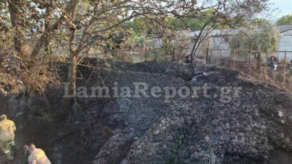 Φωτιά στον Άγιο Κωνσταντίνο Φθιώτιδας: Από πελαργό φαίνεται να ξεκίνησε η πυρκαγιά
