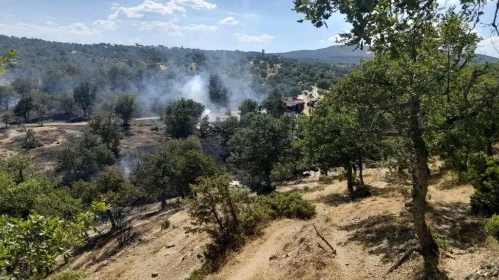 Οριοθετήθηκε η φωτιά στην Ρούσσα Έβρου