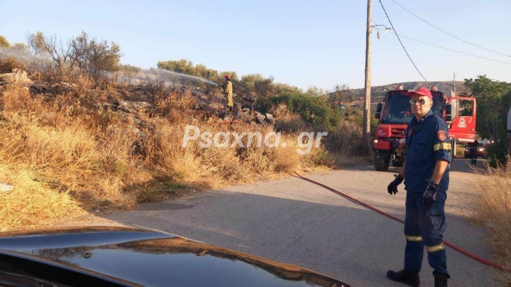 Φωτιά σε ξερά χόρτα στην Χαραυγή Ευβοίας
