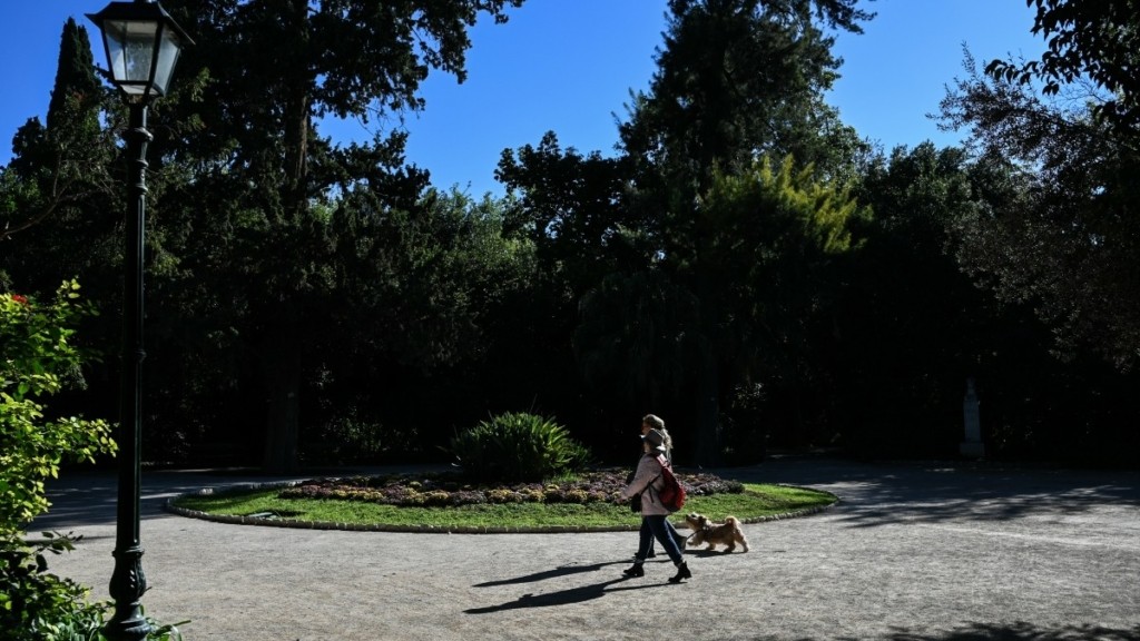Δήμος Αθηναίων: Αυξημένα μέτρα ασφαλείας λόγω ισχυρών ριπών ανέμου στην Αττική – Κλειστός ο Εθνικός Κήπος