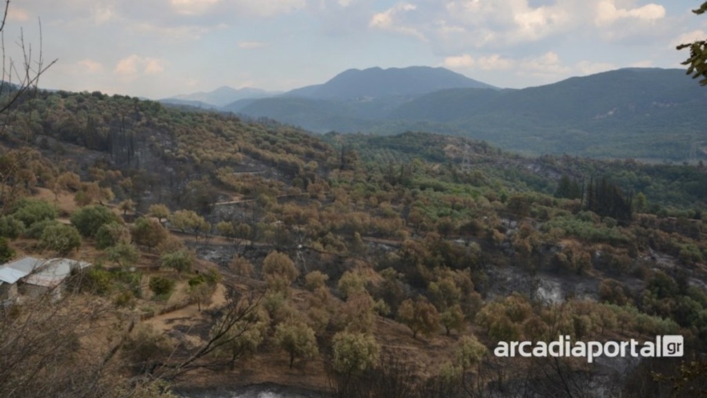 Φωτιά στο Καστράκι Αρκαδίας: Βελτιωμένη η εικόνα στο πύρινο μέτωπο