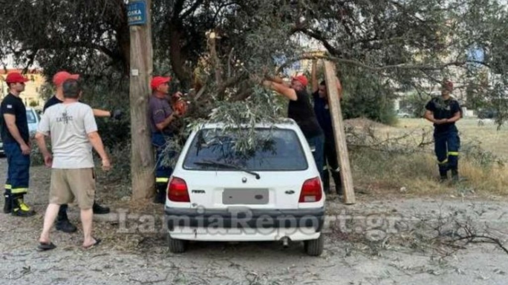Λαμία: Δέντρο έσπασε και πλάκωσε αυτοκίνητο