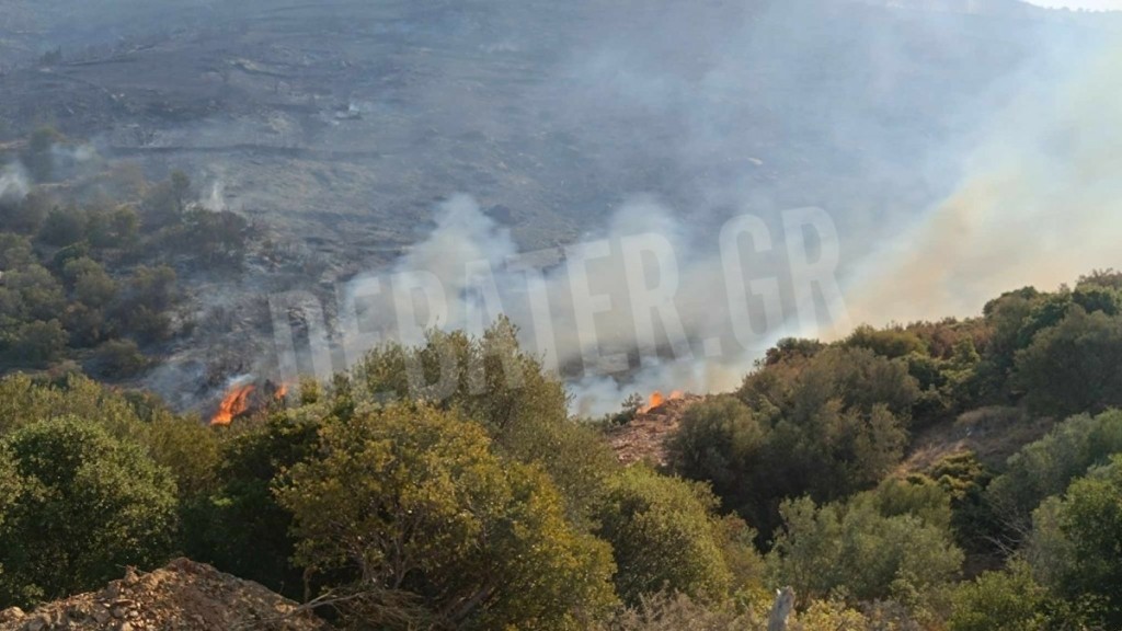 Βελτιωμένη η εικόνα της φωτιάς στην Εύβοια – Μάχη των πυροσβεστών να σβήσουν τις διάσπαρτες εστίες (vids)