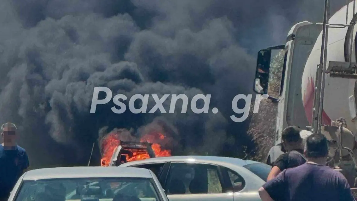 Στροφυλιά Ευβοίας: Αυτοκίνητο τυλίχθηκε στις φλόγες εν κινήσει (pics)