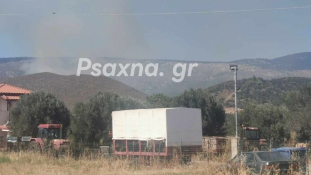 Φωτιά τώρα σε αγροτοδασική έκταση στο Κοντοδεσπότι Ευβοίας – Σηκώθηκαν 7 εναέρια (vid)