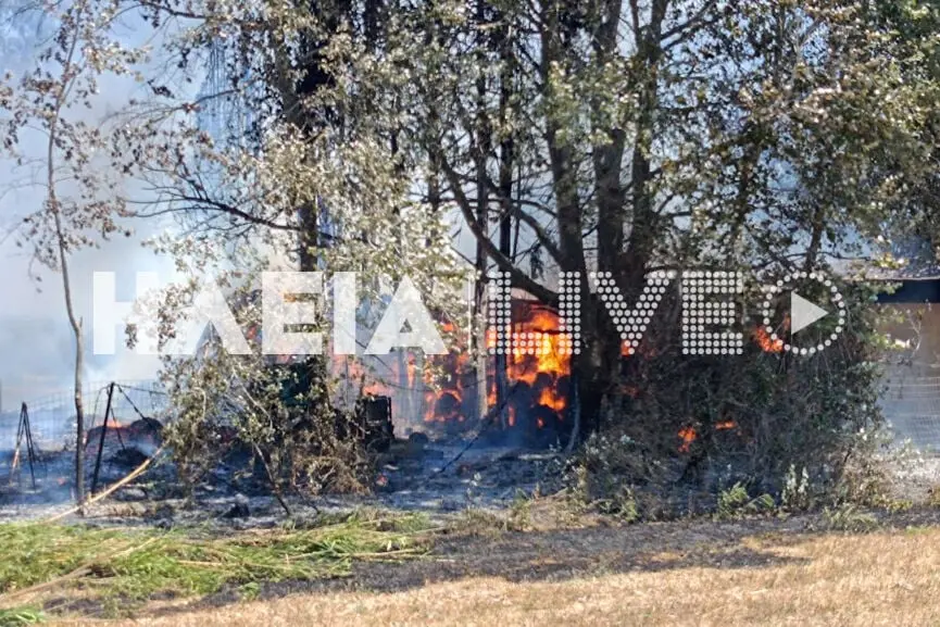 Φωτιά σε στάβλο με άλογα στην Ηλεία – Μεγάλη επιχείρηση για την απομάκρυνσή τους (pics & vid)