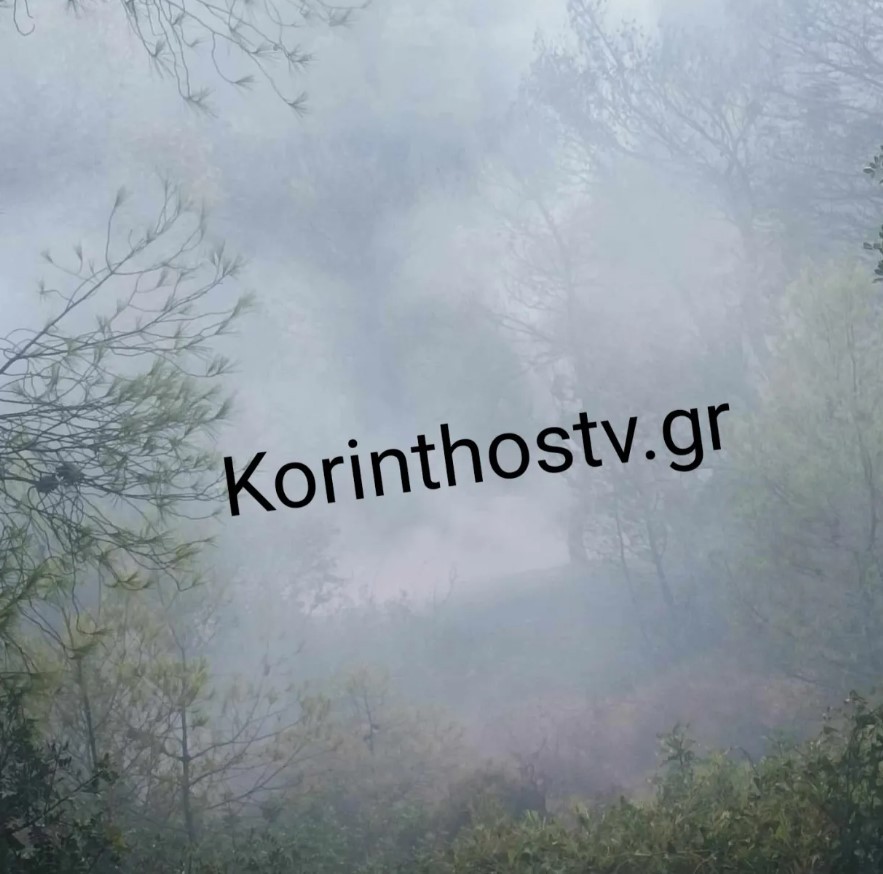 Φωτιά τώρα σε δασική έκταση στα Εξαμίλια Κορινθίας – Πιθανό να ξεκίνησε από κεραυνό (vid)
