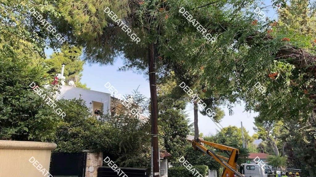 Δροσιά: Δέντρο είκοσι μέτρων έπεσε πάνω σε καλώδια του ρεύματος (pics, vid)