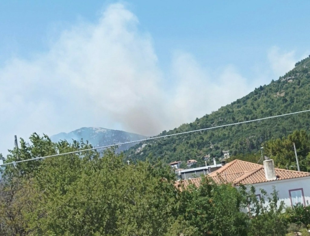 Φωτιά στον Κυθαιρώνα: Χωρίς ενεργό μέτωπο η πυρκαγιά – Μάχη με τις διάσπαρτες εστίες