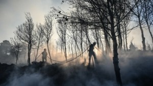 Πολύ υψηλός κίνδυνος πυρκαγιάς αύριο σε 7 περιφέρειες