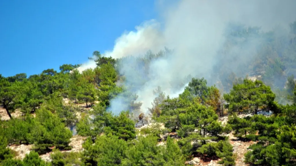 Σε ποιες περιοχές υπάρχει υψηλός κίνδυνος πυρκαγιάς την Πέμπτη