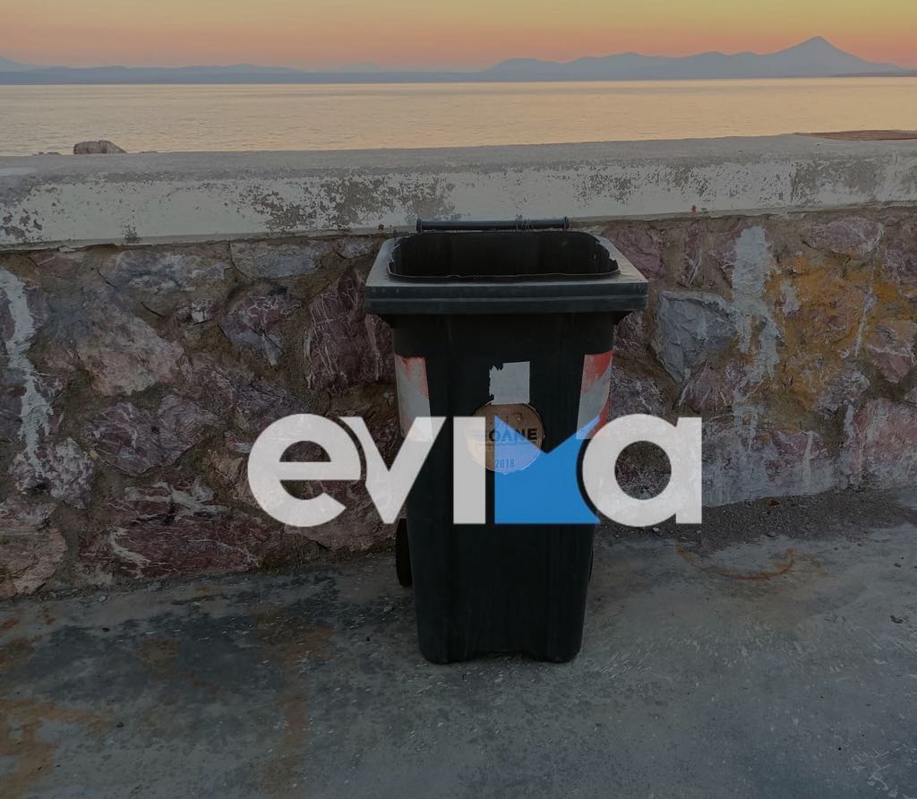 Εύβοια: Σκότωσαν μικρά γατάκια και τα πέταξαν σε κάδο – Τα είδε 8χρονος και σοκαρίστηκε (pic)