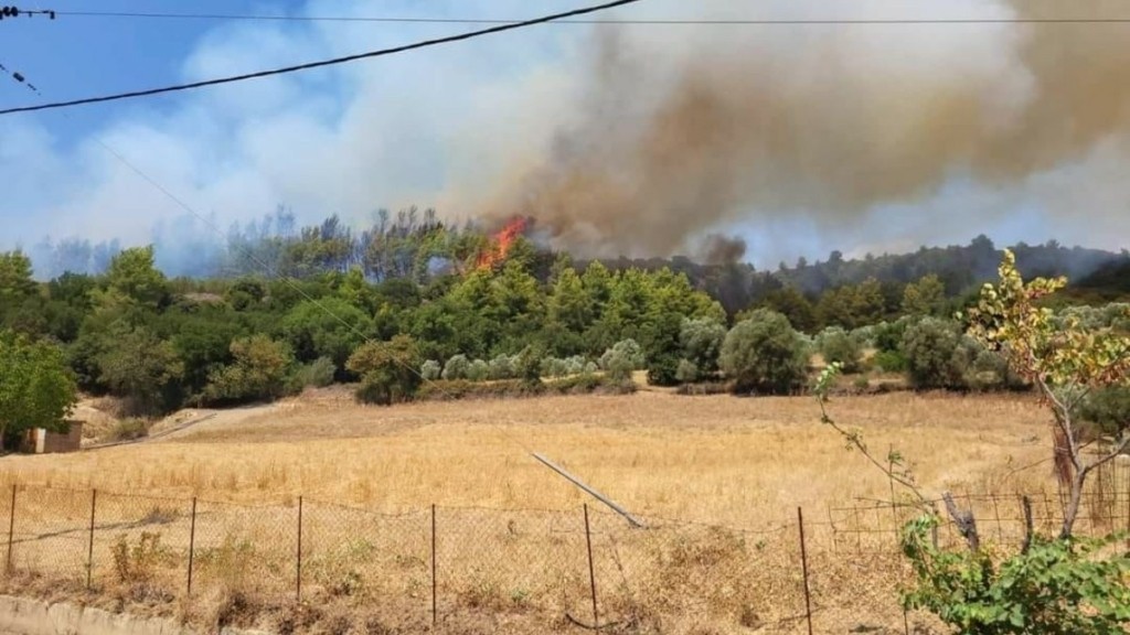 Φωτιά στην Ανάληψη Ηλείας – Καίει κοντά σε σπίτια