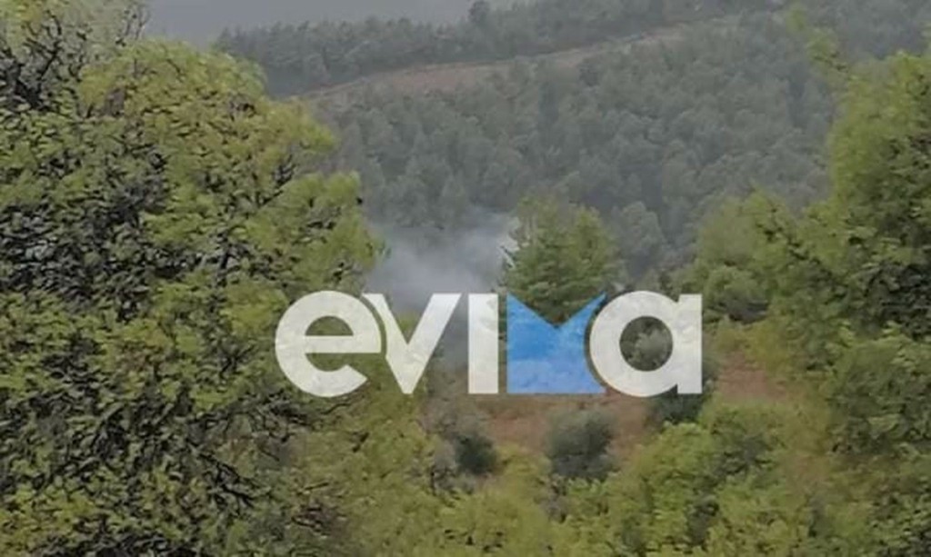 Φωτιά στο χωριό Φύλλα στην Χαλκίδα – Προκλήθηκε από κεραυνό