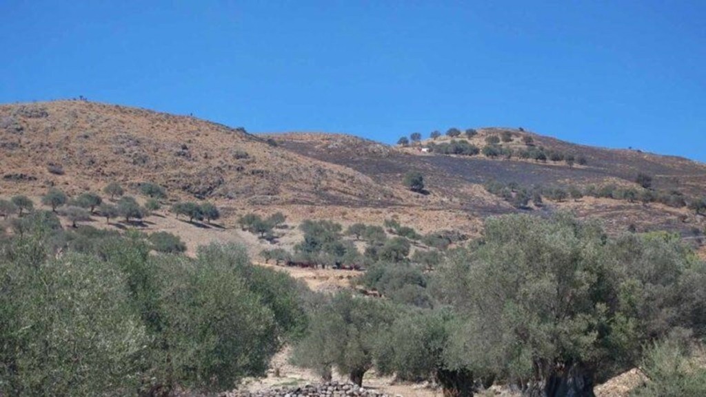 Φωτιά στο Ηράκλειο: Τέθηκε υπό έλεγχο η πυρκαγιά στη Μεσαρά