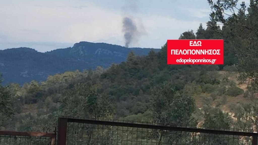 Φωτιά σε δασική έκταση στο όρος Άκρος στη Νέα Επίδαυρο