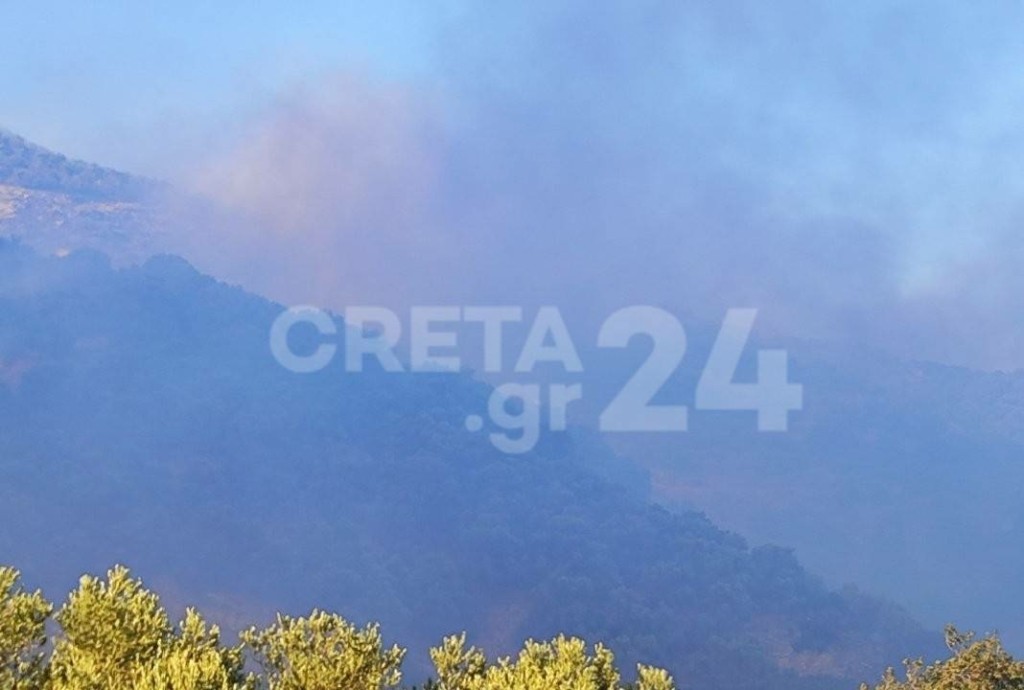 Χωρίς ενεργό μέτωπο η φωτιά στην Κρήτη – Παραμένουν στο σημείο δυνάμεις της Πυροσβεστικής (pics & vid)