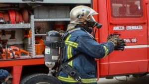 Φωτιά τώρα στην Πέλλα – Ισχυρές δυνάμεις της Πυροσβεστικής στο σημείο