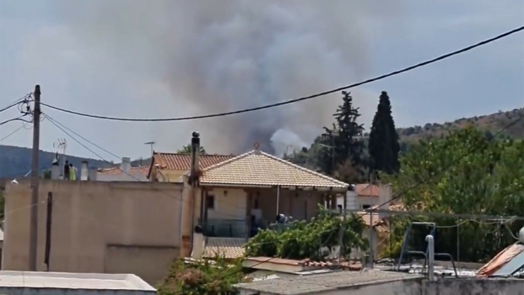 Πυρκαγιά στο Συκάμινο Ωρωπού, σε κοντινή απόσταση από σπίτια – Ήχησε το «112»