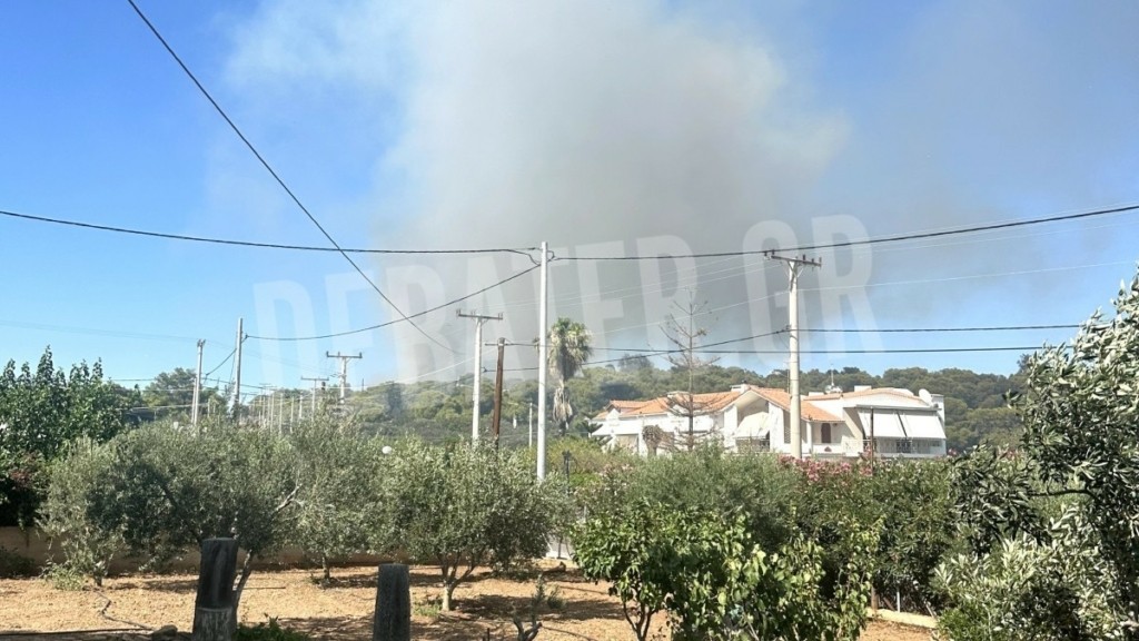 Φωτιά στην Κάτω Ποσειδωνία στο Σούνιο: Χωρίς ενεργό μέτωπο – Παραμένουν στο σημείο ισχυρές δυνάμεις