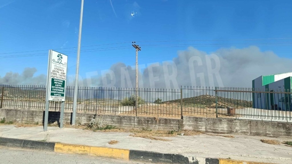 Βαθρακογιάννης για τη φωτιά στην Εύβοια – «Το κυρίως μέτωπο της πυρκαγιάς εσωτερικά του τριγώνου Πετριές, Κριεζά και Αλώνια»