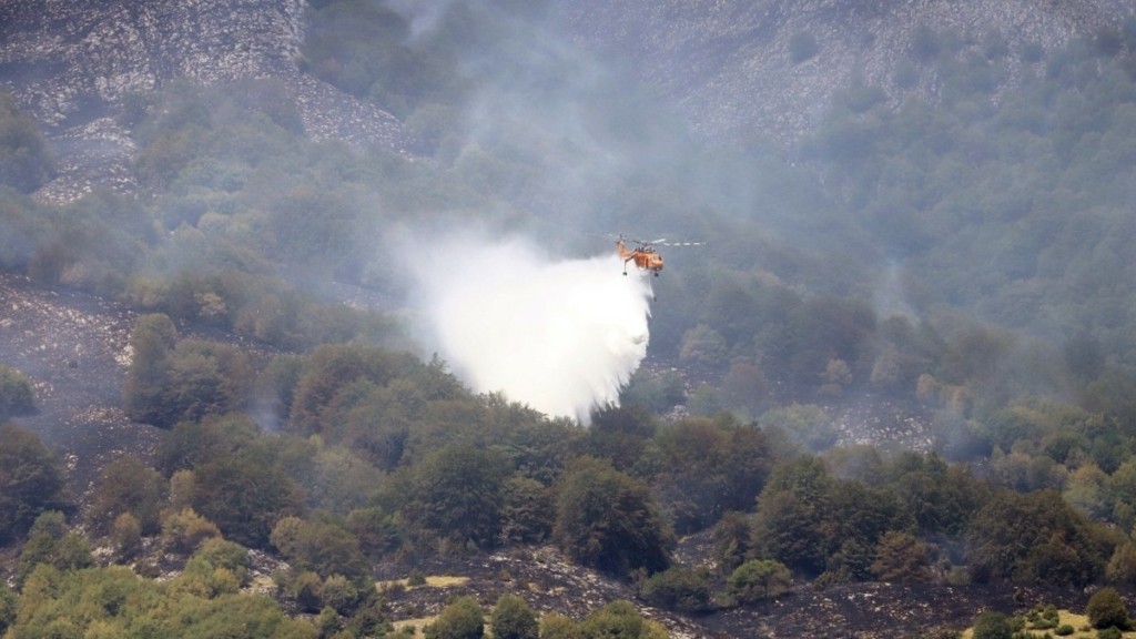 Υπό μερικό έλεγχο η φωτιά στο Μαρκόπουλο Αττικής