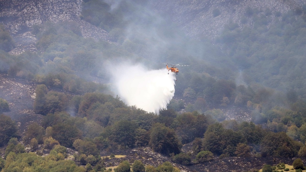 Υπό μερικό έλεγχο η φωτιά στο Μαρκόπουλο Αττικής