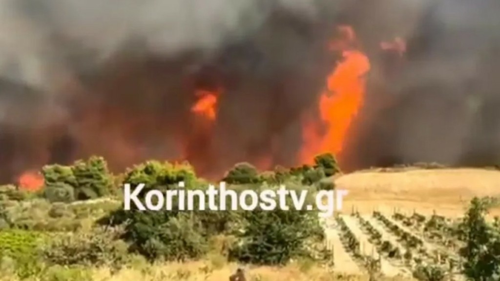 Φωτιά στην Κορινθία: Νέα μεγάλη αναζωπύρωση στο Κούτσι Νεμέας – Σηκώθηκαν 20 εναέρια (vid)