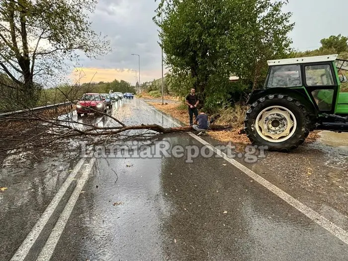 Ξαφνικό μπουρίνι στη Δυτική Φθιώτιδα έριξε δέντρα (εικόνες)