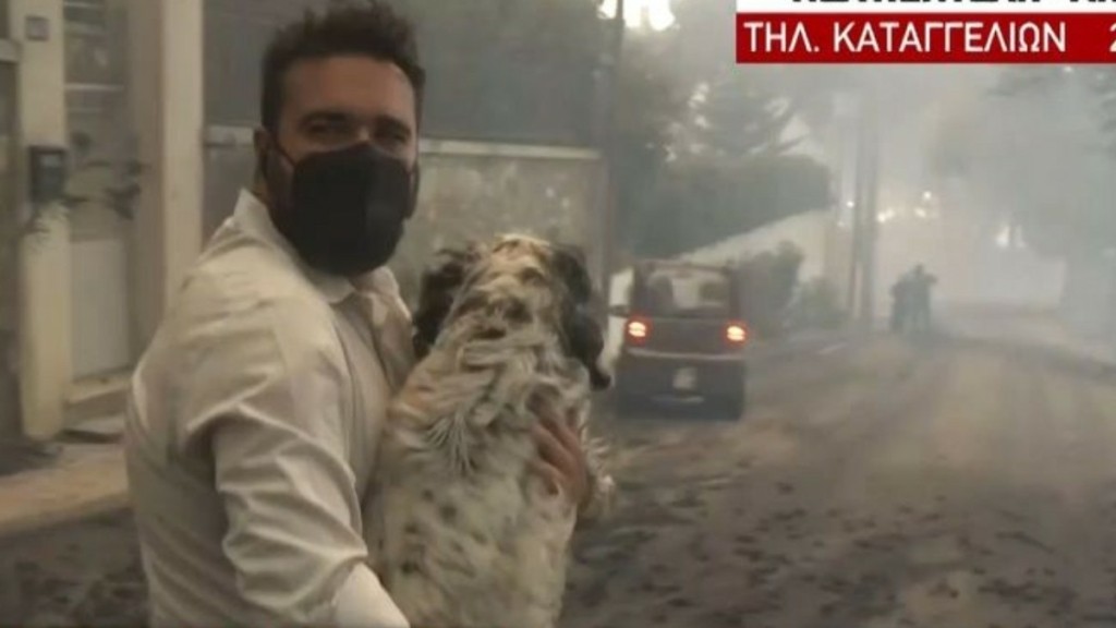 Φωτιά στην Αττική: Ρεπόρτερ σώζει αβοήθητο σκύλο (vid)