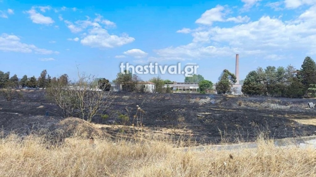 Υπό μερικό έλεγχο η φωτιά στον Λαγκαδά Θεσσαλονίκης