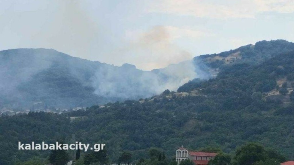 Φωτιά σε δασική έκταση στην Παναγιά Τρικάλων – Ήχησε το 112 για εκκένωση