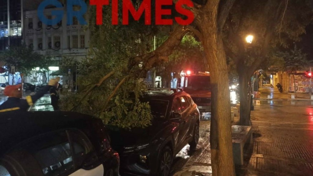 Θεσσαλονίκη: Κλαδιά δέντρων έπεσαν πάνω σε αυτοκίνητα από το μπουρίνι
