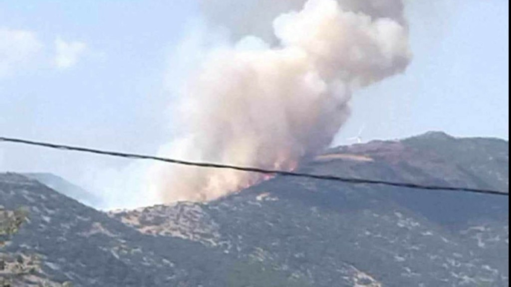 Φωτιά σε δασική έκταση στο Παρανέστι Δράμας
