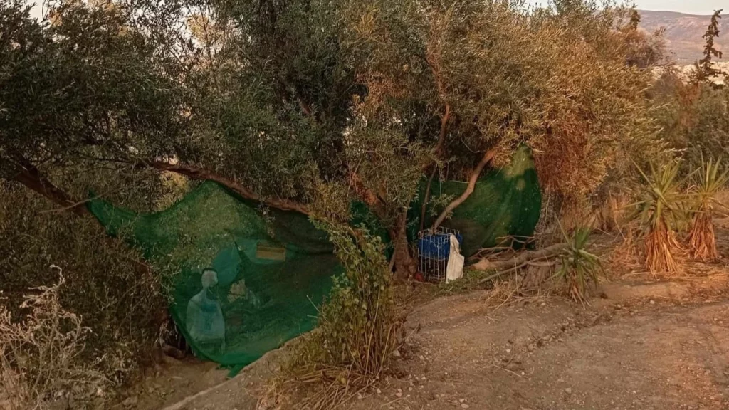 Ο Δήμος Αθηναίων για την απομάκρυνση σκηνών από τον Λόφο Φιλοπάππου
