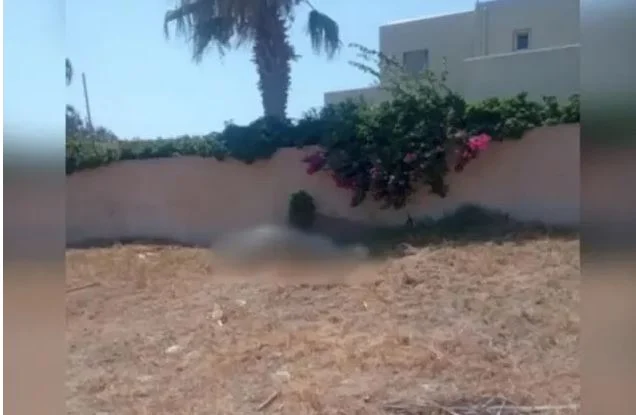 Κτηνωδία στη Σαντορίνη: Έδεσαν άλογο και πέθανε από τη δίψα