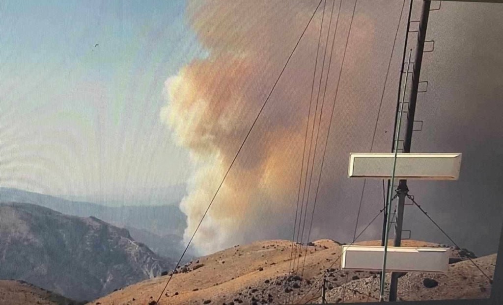 Φωτιά σε δασική έκταση στον Παλαμπά Θεσπρωτίας – Επιχειρούν 6 αεροσκάφη – Ήχησε το 112