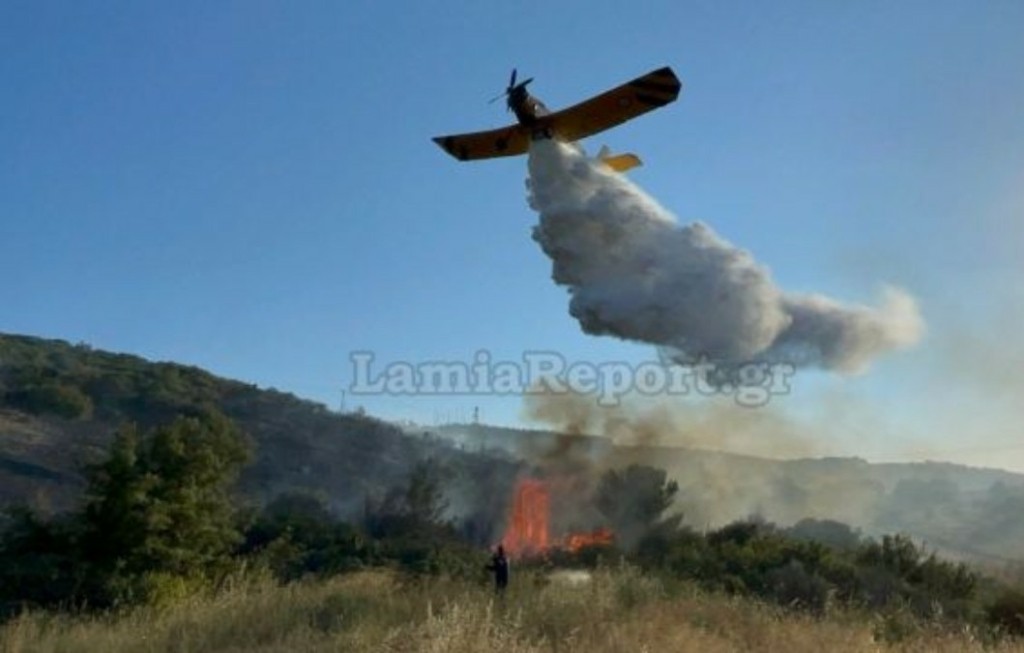 Οριοθετήθηκε η φωτιά στην Αυλώνα – Στο σημείο παραμένουν ισχυρές πυροσβεστικές δυνάμεις
