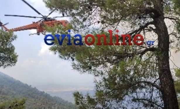 Εύβοια: Τέσσερις φωτιές λόγω έντονης κεραυνικής δραστηριότητας (vid)
