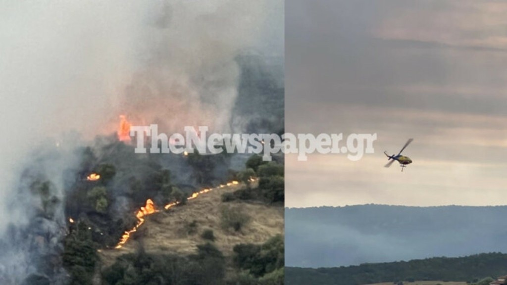 Φωτιά σε αγροτοδασική έκταση στο Φυτόκο Μαγνησίας