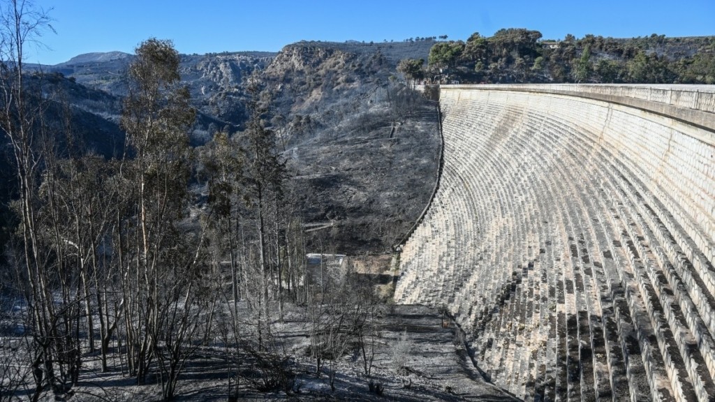 Φωτιά στην Αττική: Ξεκίνησε η υποβολή αιτήσεων για κρατική αρωγή στους πυρόπληκτους