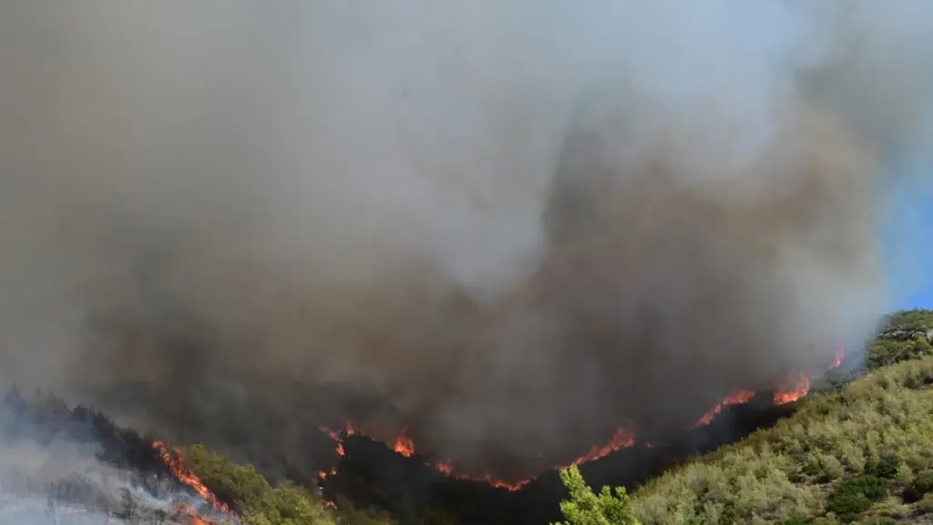 Χωρίς ενεργό μέτωπο η πυρκαγιά στην Κάτω Κρυά Λασιθίου