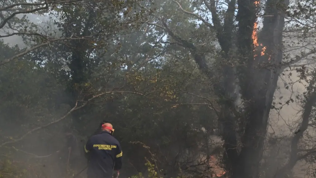 Υπό μερικό έλεγχο η φωτιά στον Ασπρόπυργο