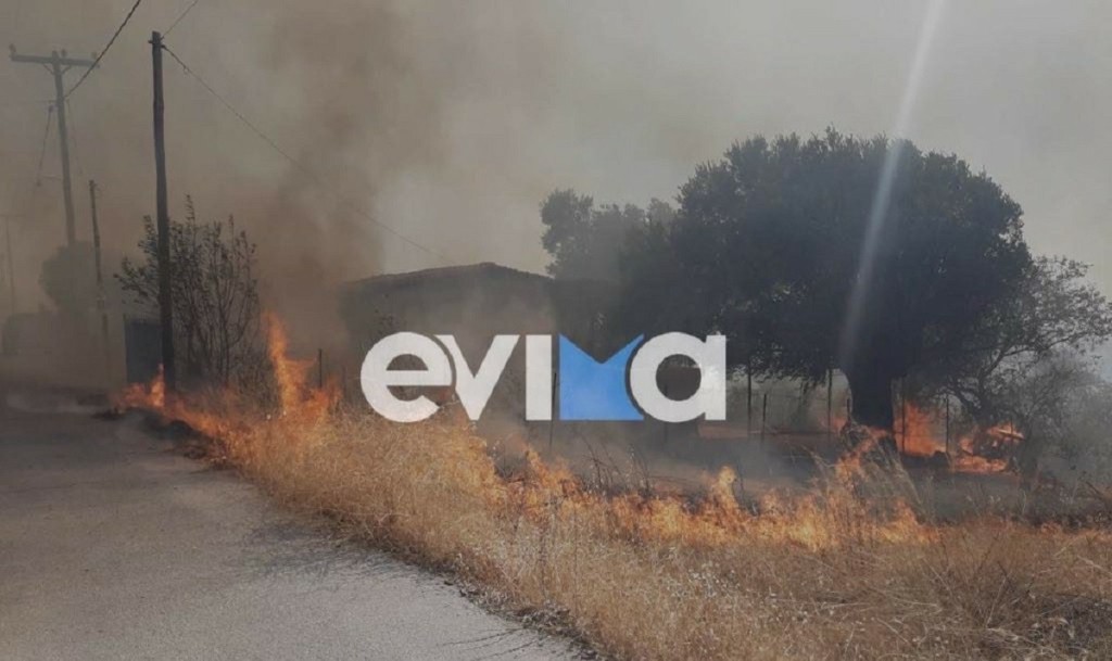 Φωτιά στην Αγία Κυριακή Ερέτριας, κοντά σε σπίτια – Εκκενώνονται δύο οικισμοί