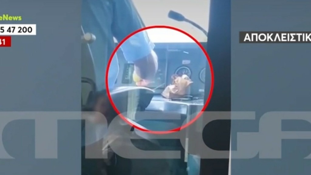 Οδηγός του Προαστιακού τρώει σε δρομολόγιο από Πάτρα για Ρίο – Βίντεο ντοκουμέντο