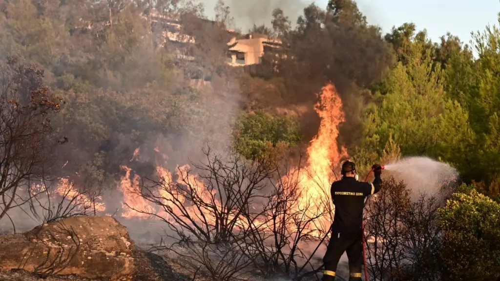 Υπό μερικό έλεγχο η φωτιά στα Παπαδιανά Χανίων