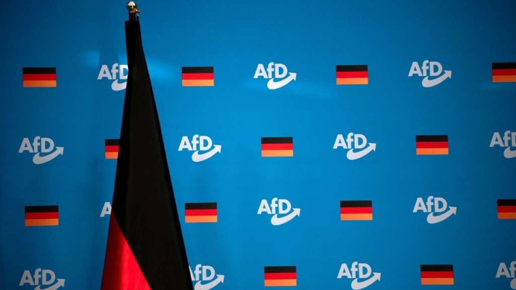 Γερμανία: Πρώτο κόμμα η AfD σε νέα δημοσκόπηση